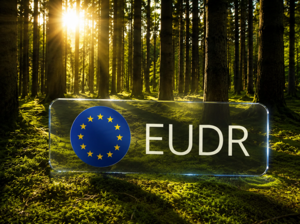 EUDR im Wandel: Neuerungen und Anpassungen der EU-Entwaldungsverordnung